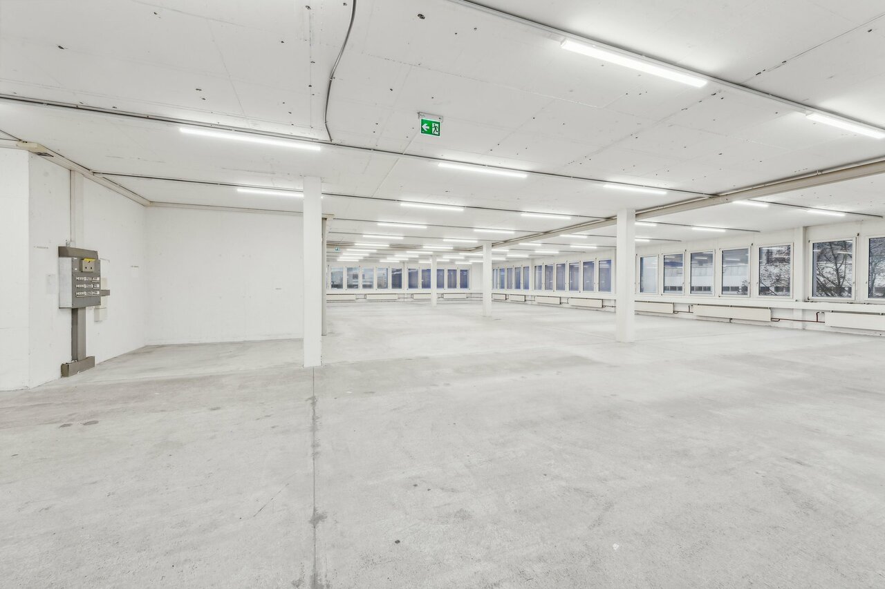 631m² commerciale