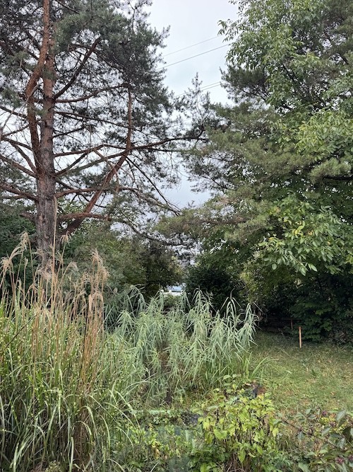 Maison ancienne avec grand jardin à louer dans un emplacement très central à Winterthur-Seen, durée déterminée jusqu'à fin mai 2027