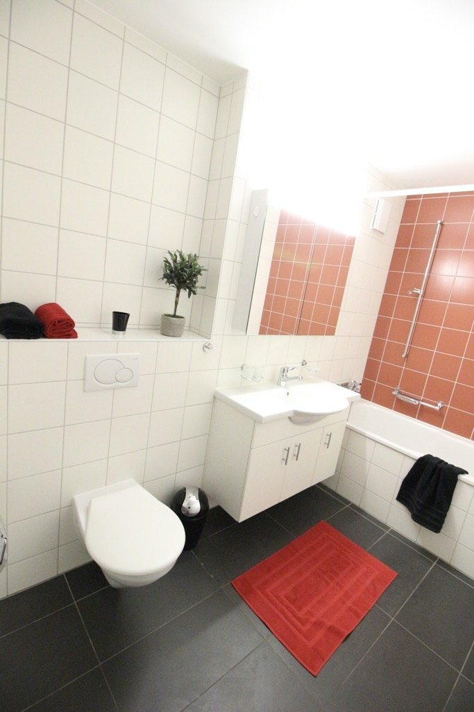 3 ½ rooms apartment, photo 6 sur 10