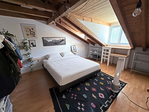 Appartement de 3 ½ pièces
