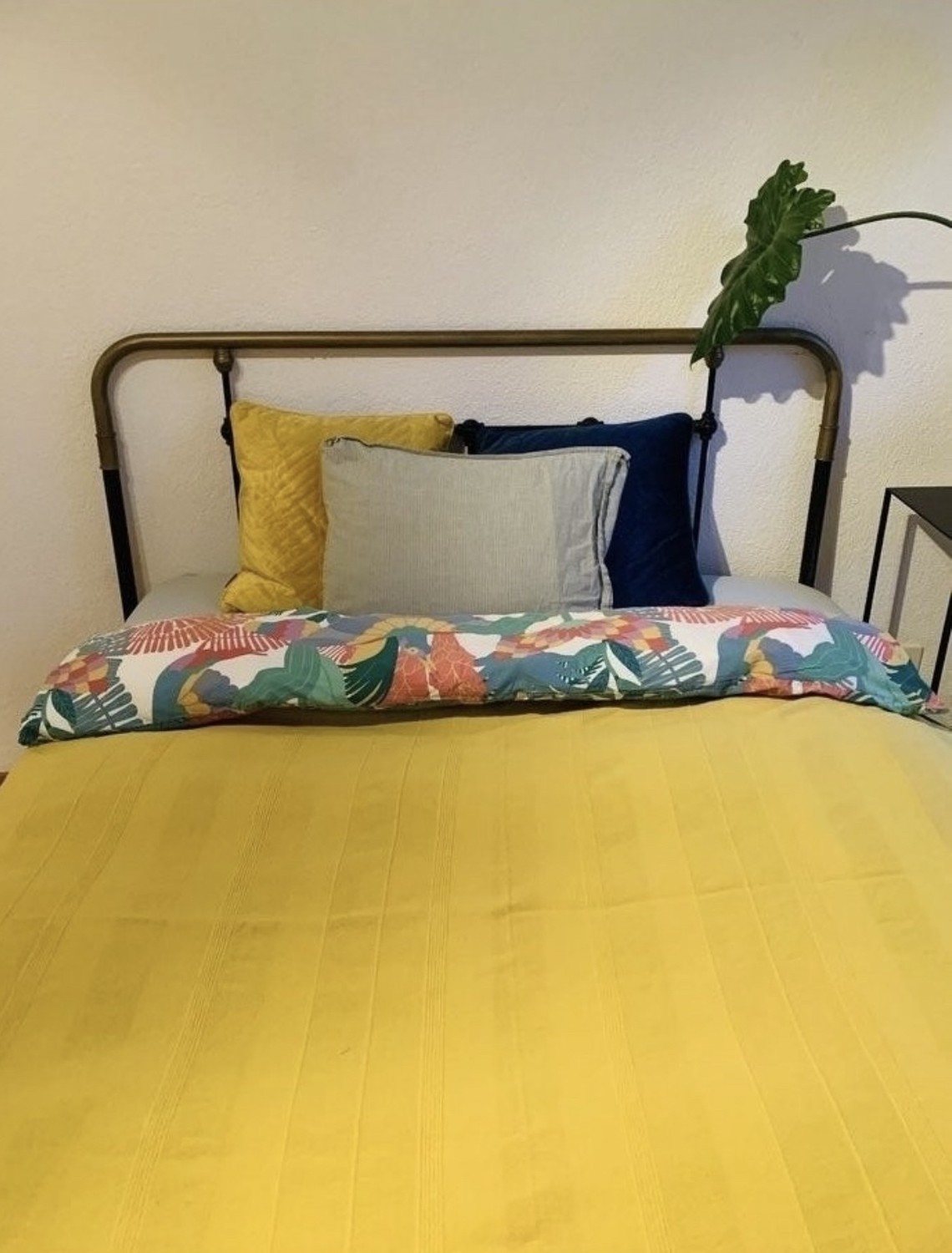 Chambre en colocation