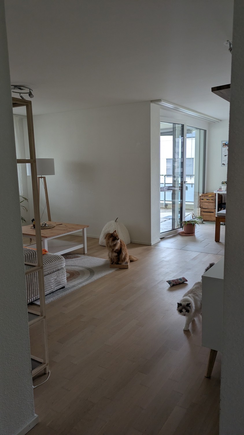 Chambre dans une colocation, photo 5 sur 8