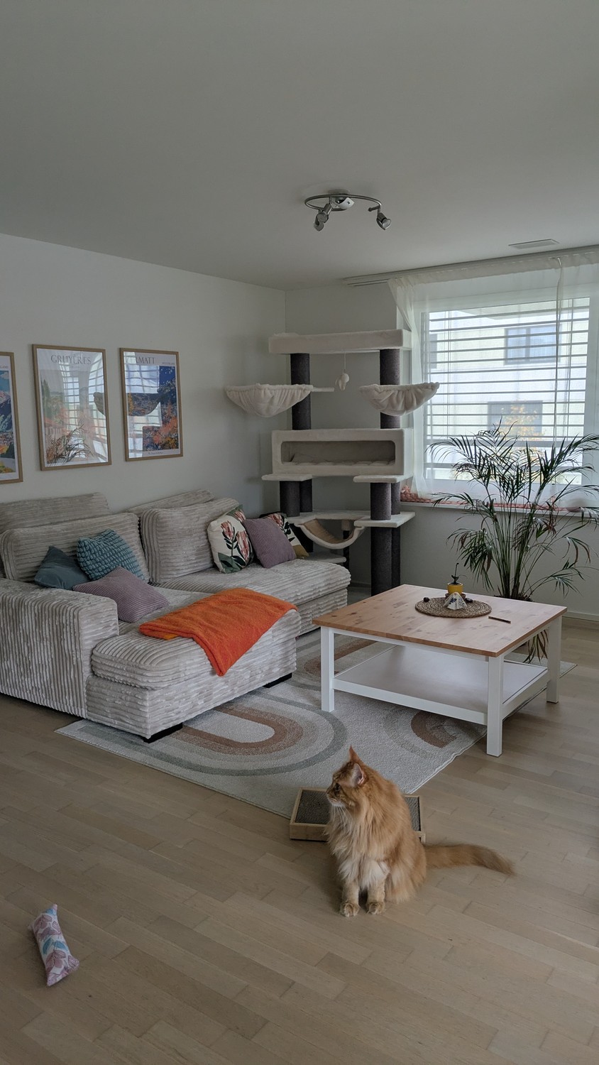 Chambre dans une colocation, photo 2 sur 8