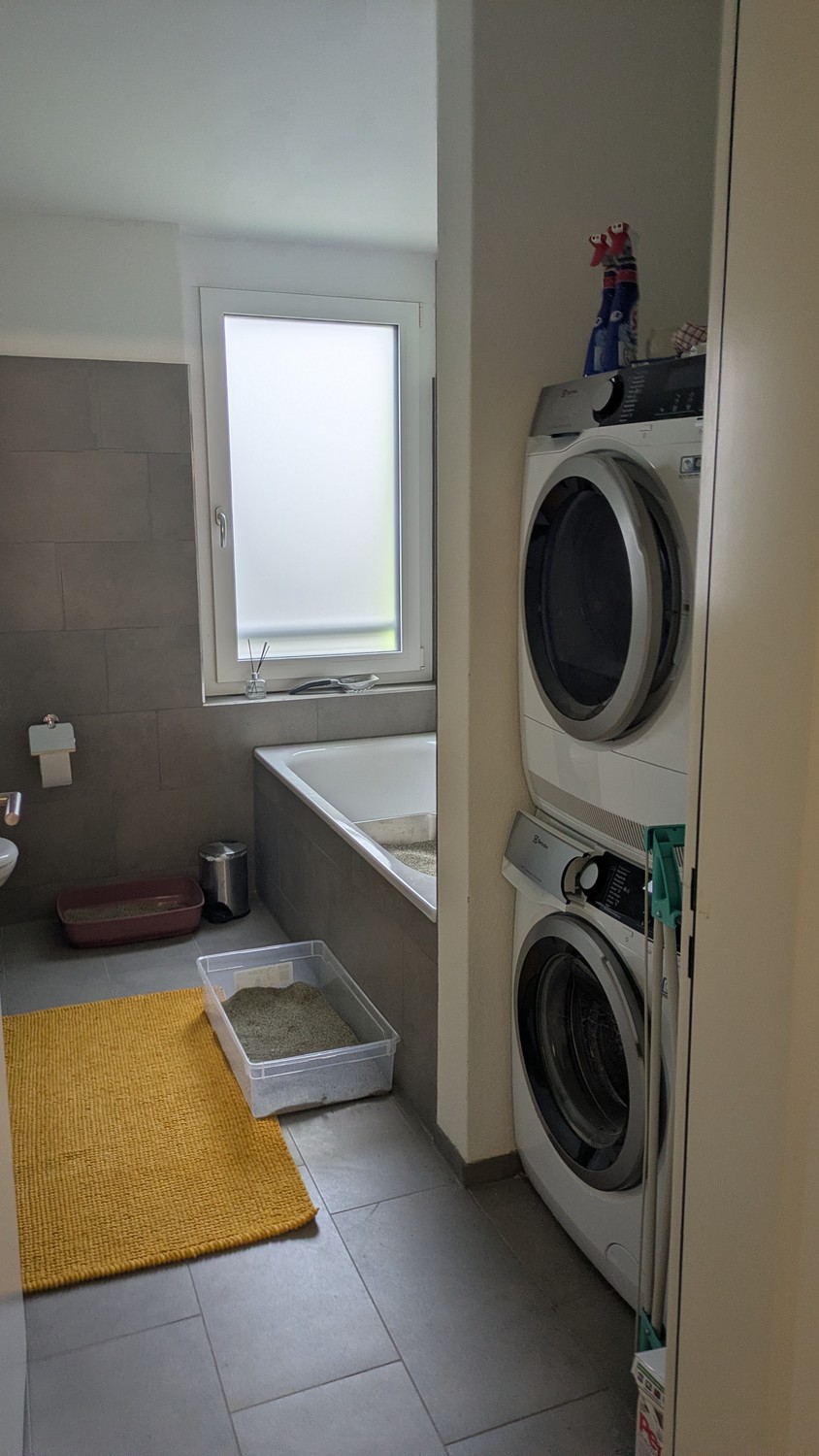 Chambre dans une colocation, photo 7 sur 8