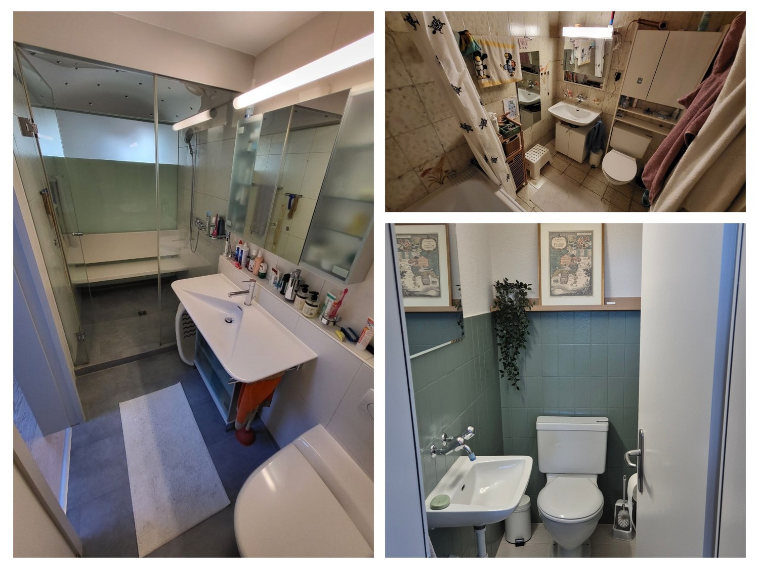 Maison individuelle de 3 ½ pièces, photo 9 sur 10
