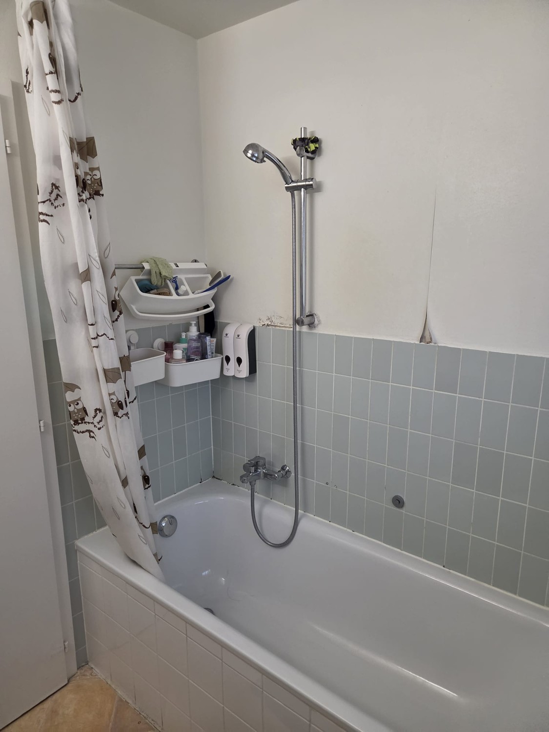 1 ½ rooms apartment, photo 5 sur 10