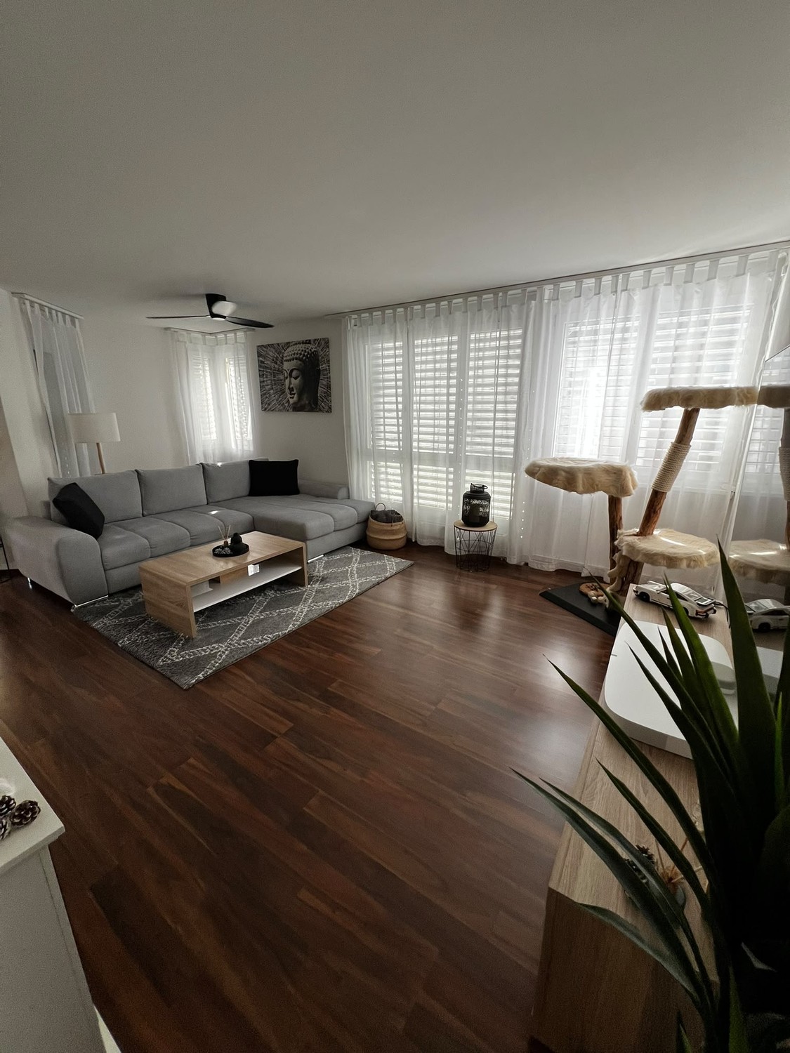 Appartement de 2 ½ pièces, photo 2 sur 10