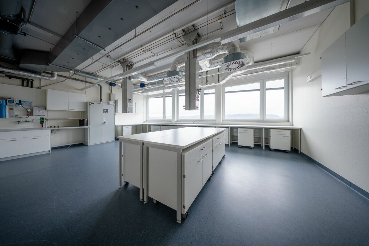 900m² bureau, photo 6 sur 10