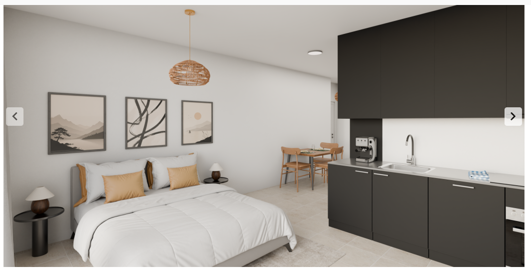 Appartement de 1 ½ pièces, photo 2 sur 5