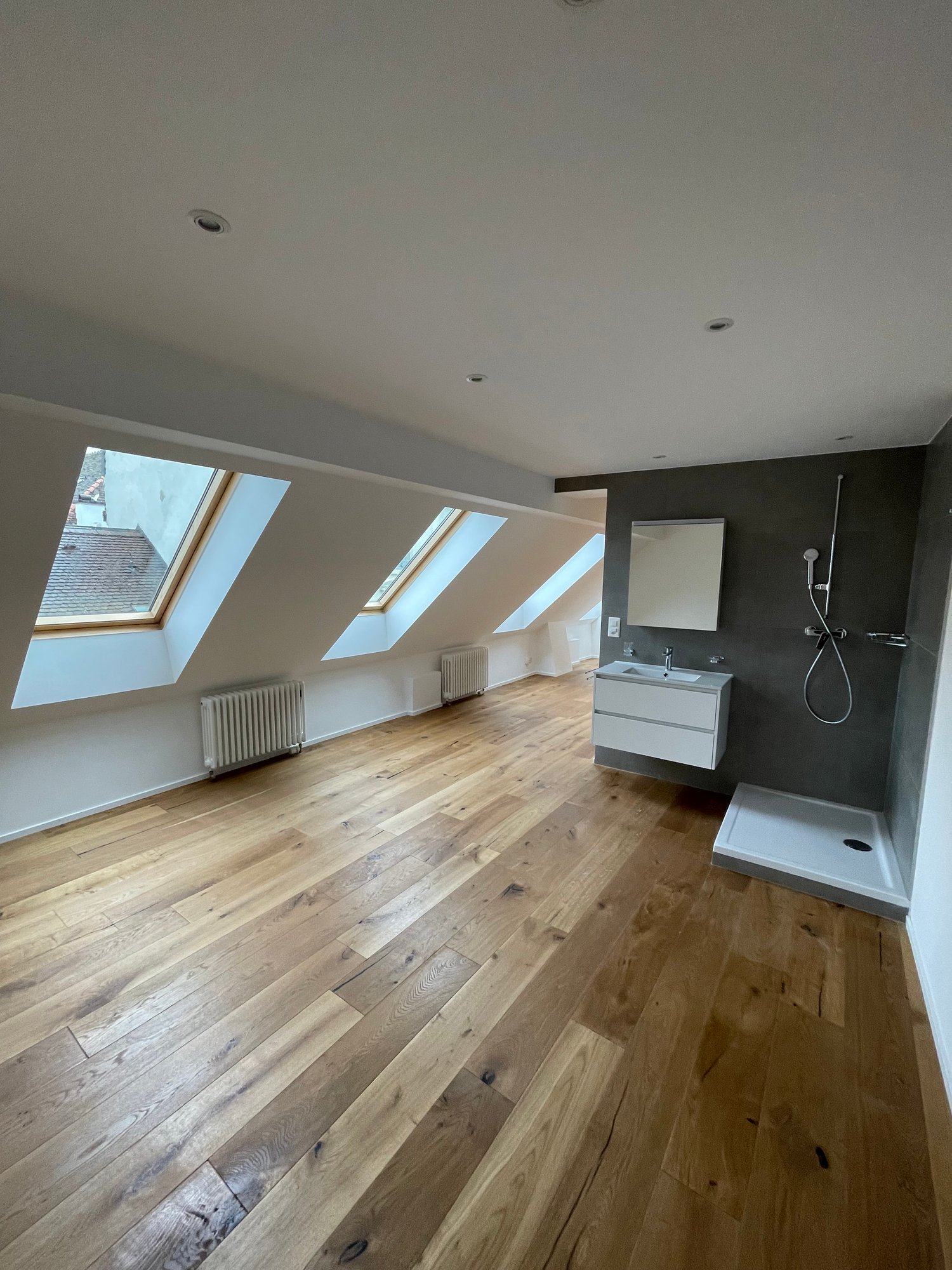 1 ½ rooms roof flat, photo 6 sur 10