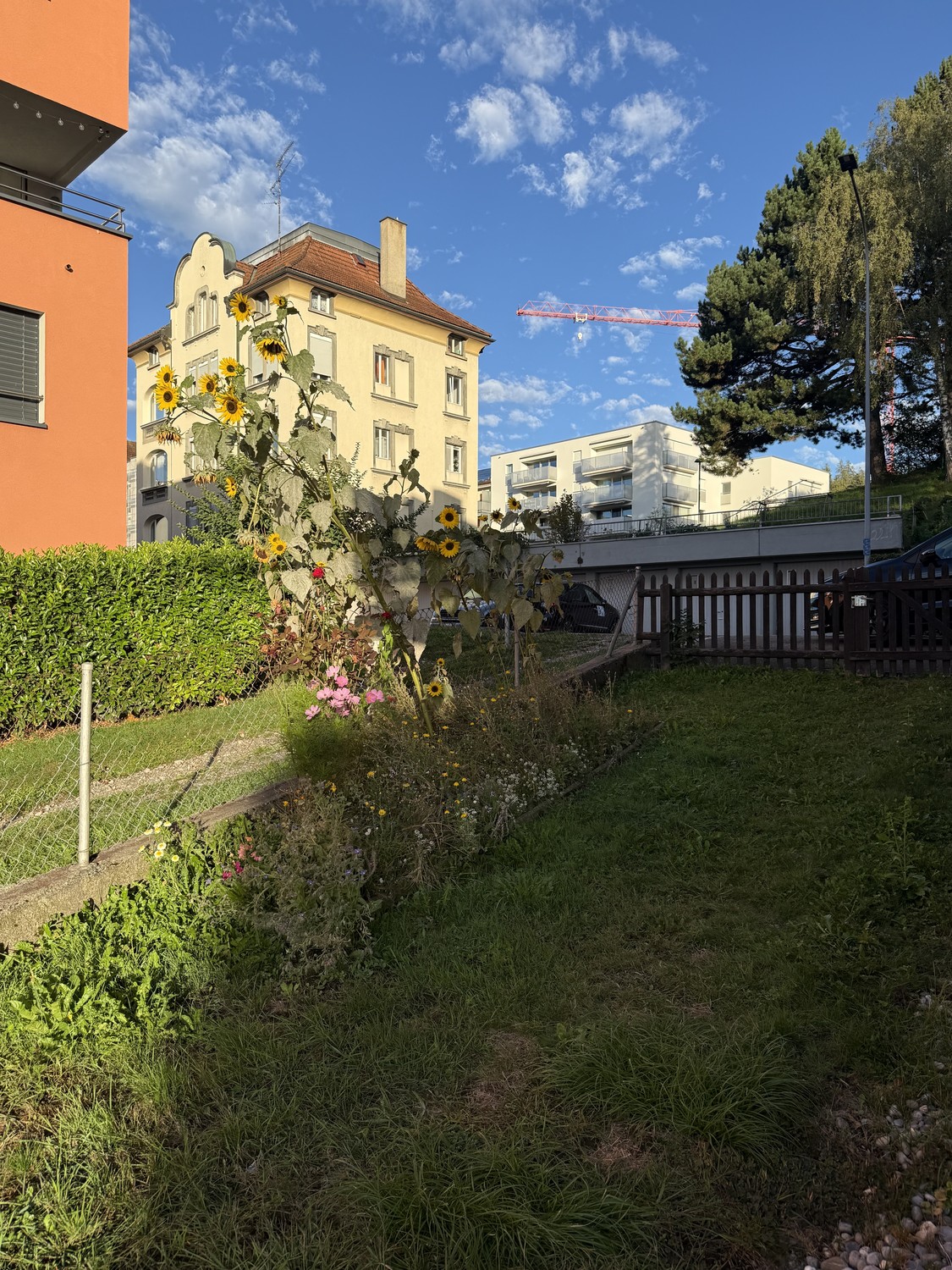 Appartement de 2 ½ pièces