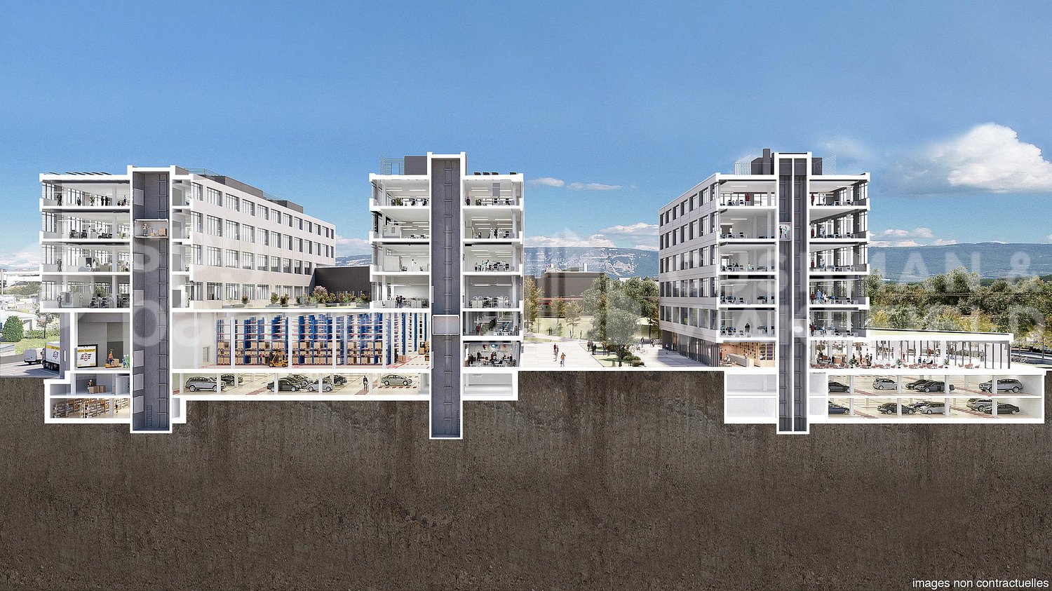 1000m² commercial