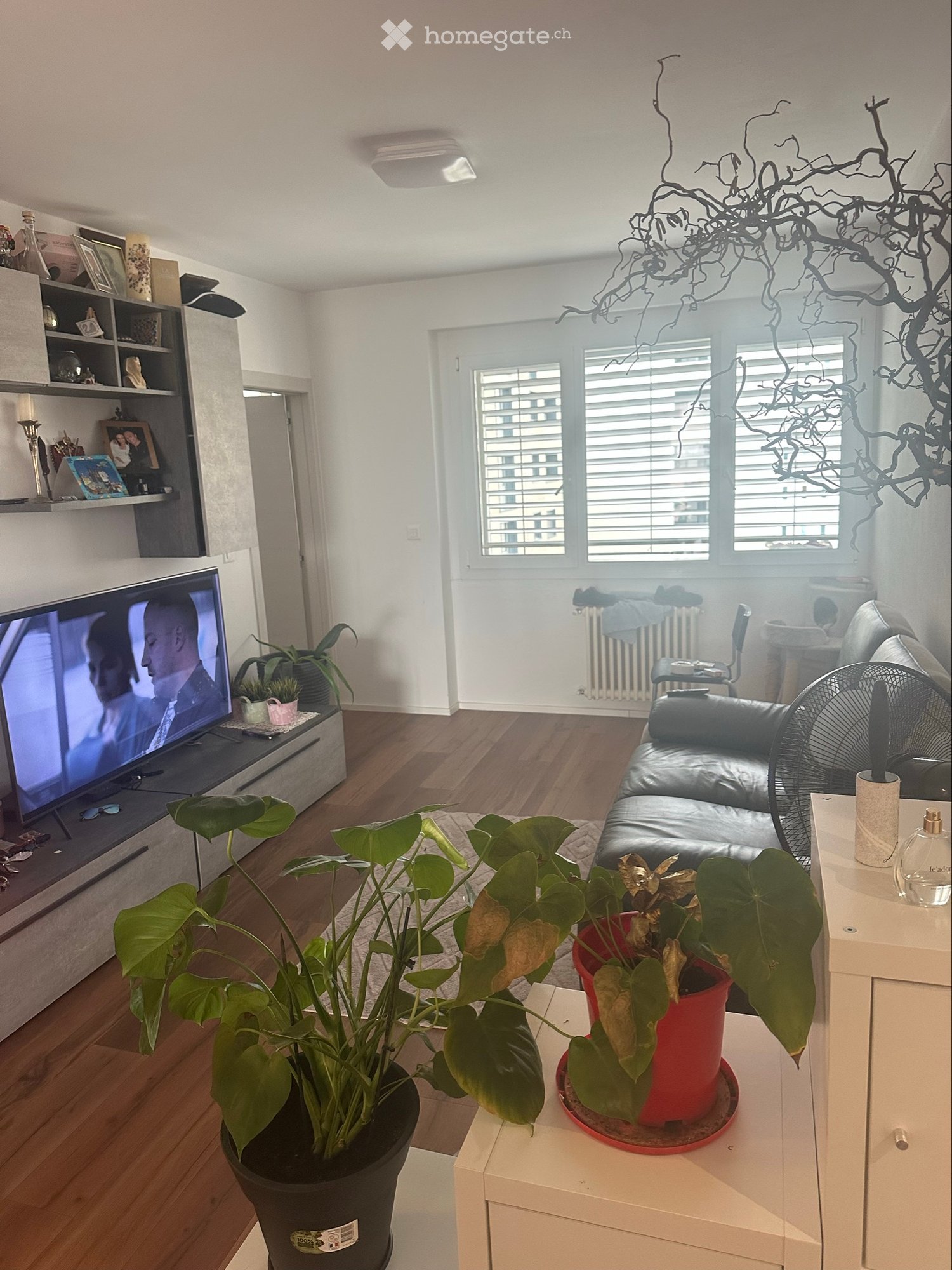 Appartement 3 pièces