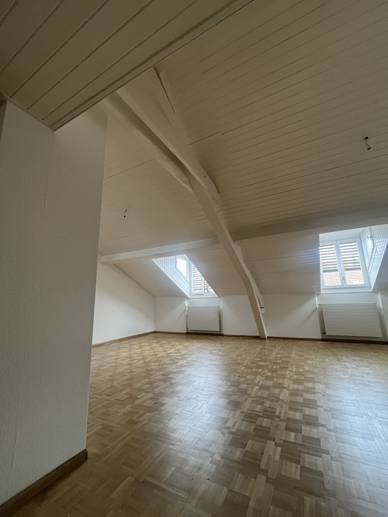 4 ½ rooms apartment, photo 4 sur 4