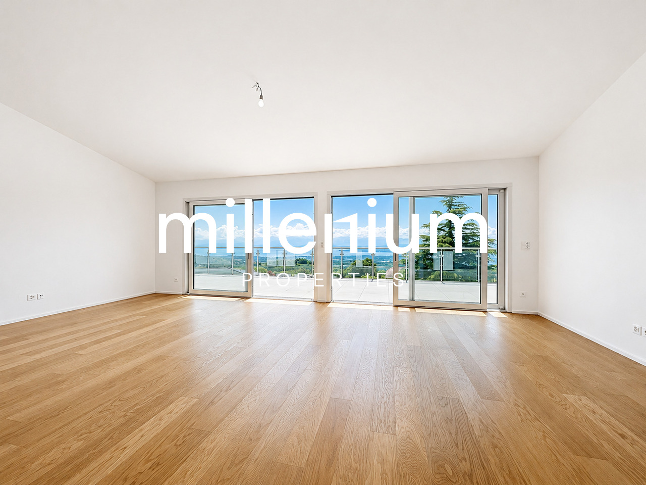 12 rooms single house