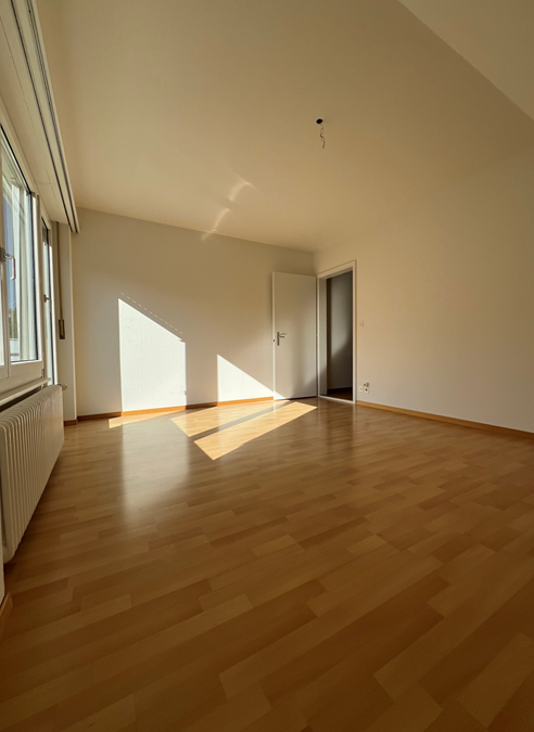 Appartement de 4 ½ pièces, photo 10 sur 10