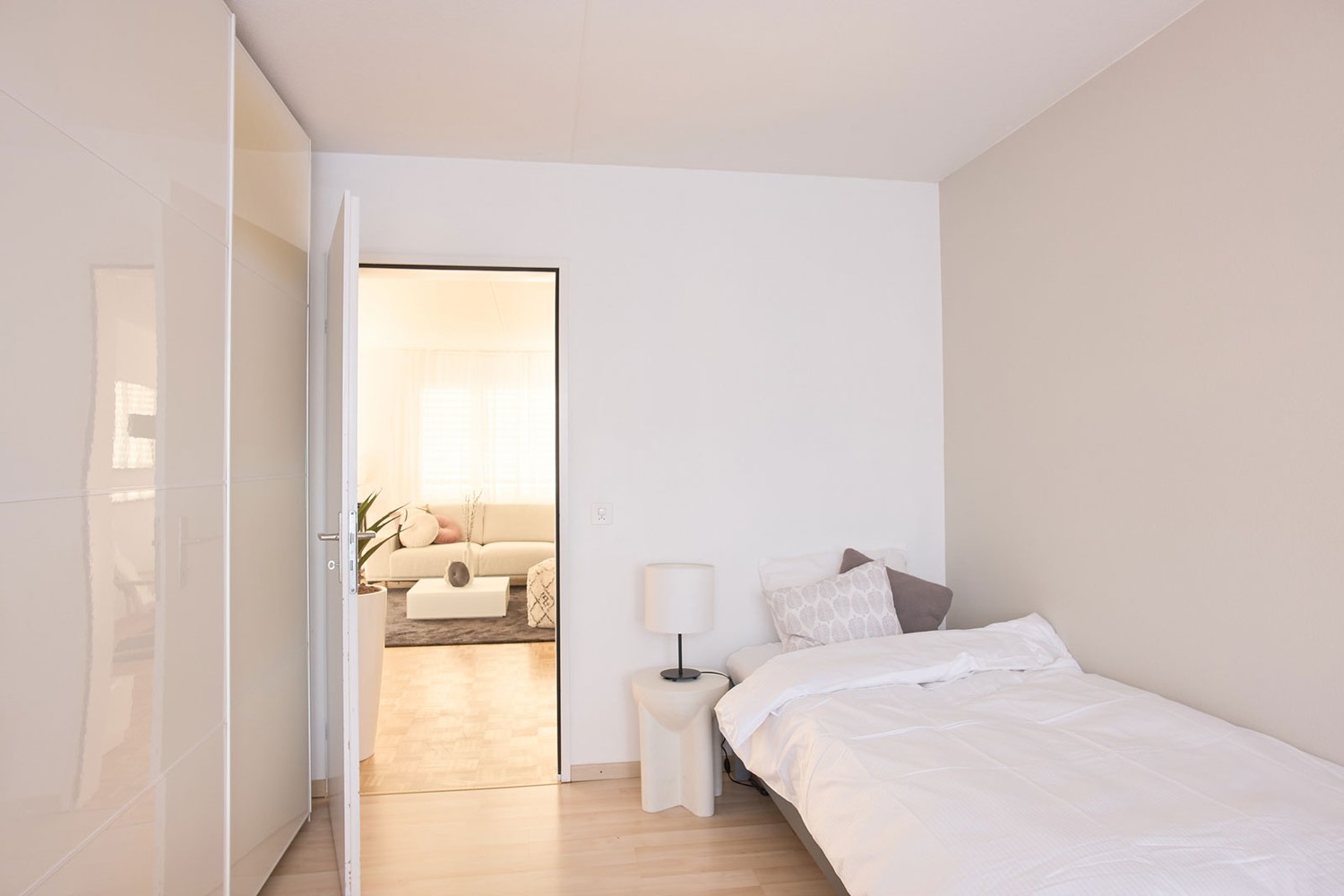 Appartement de 3 ½ pièces