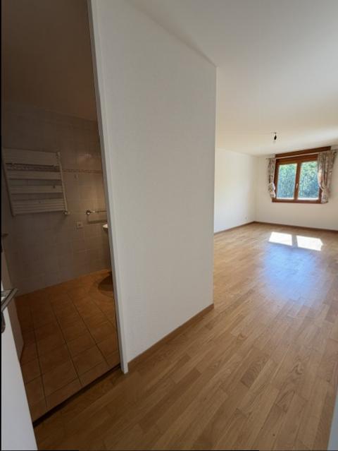 4 ½ rooms apartment, photo 8 sur 10
