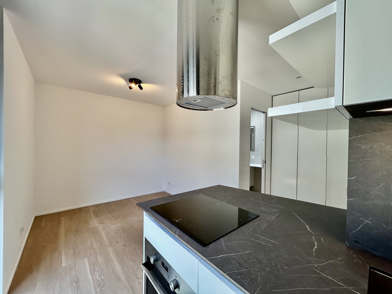 1 ½ pièces appartement