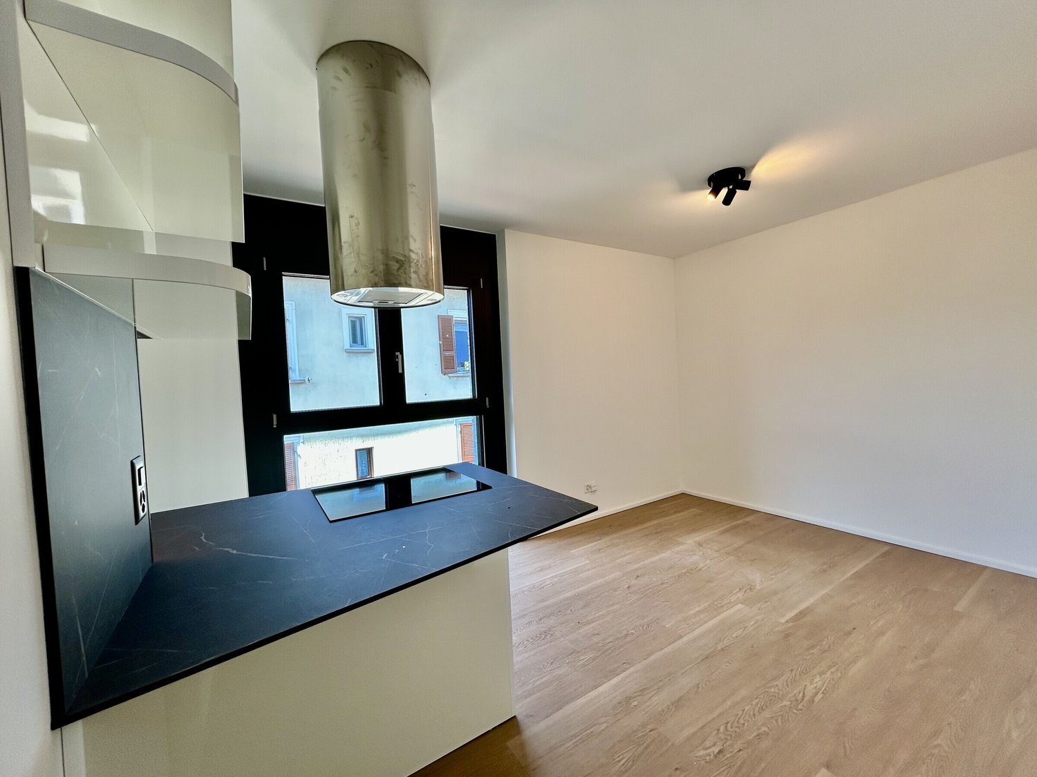 1 ½ pièces appartement