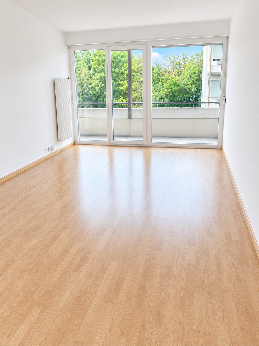 2 ½ rooms apartment, photo 1 sur 5