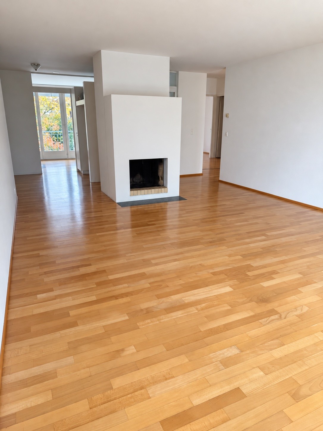 Appartement de 3 ½ pièces, photo 1 sur 10