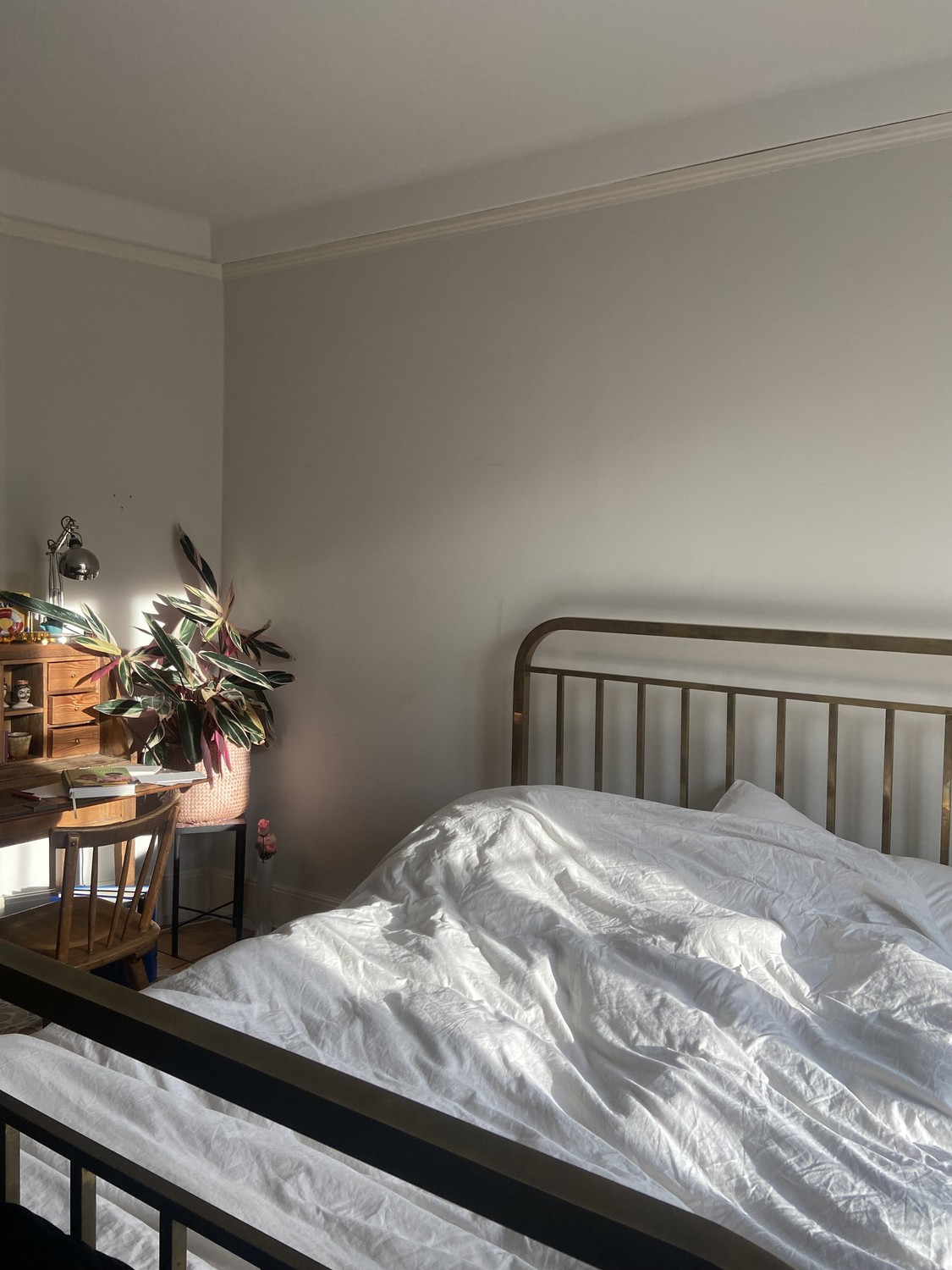 Chambre dans une colocation