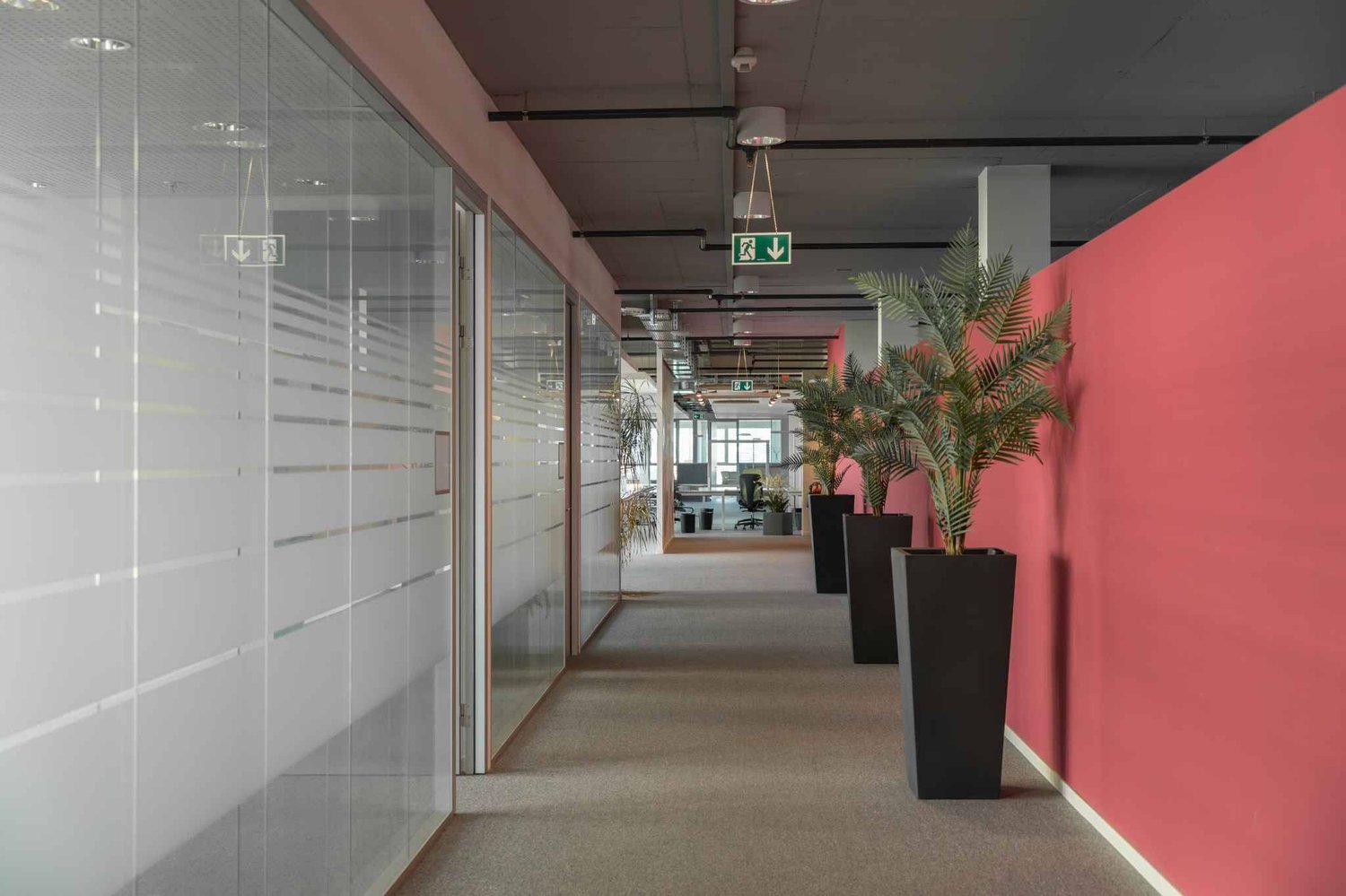 467m² office, photo 5 sur 6