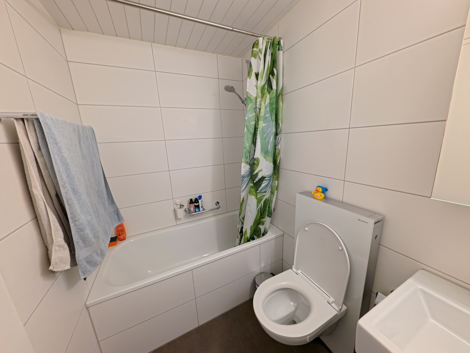 Appartement de 3 ½ pièces