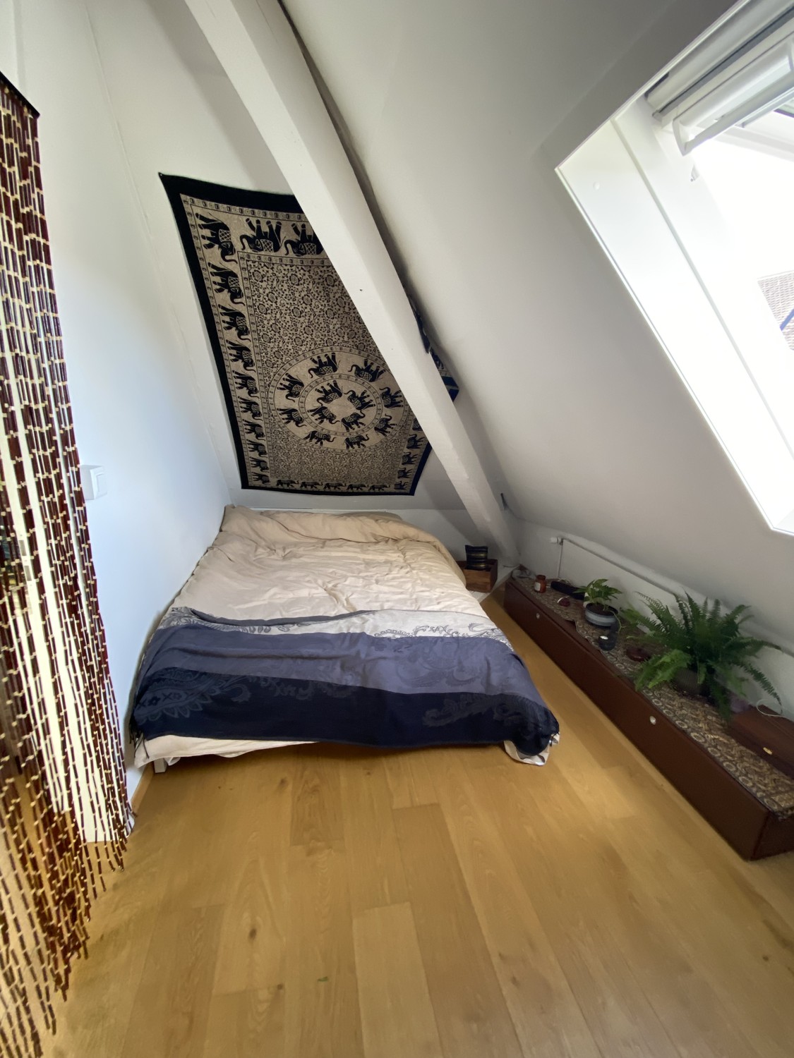 Chambre en colocation, photo 3 sur 7
