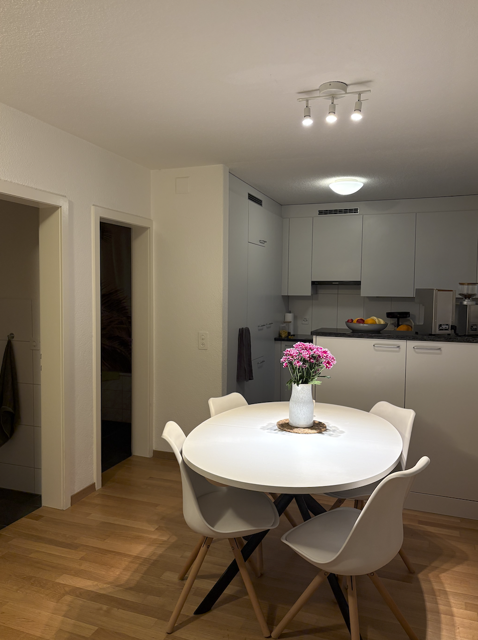 Appartement de 3 ½ pièces, photo 2 sur 10