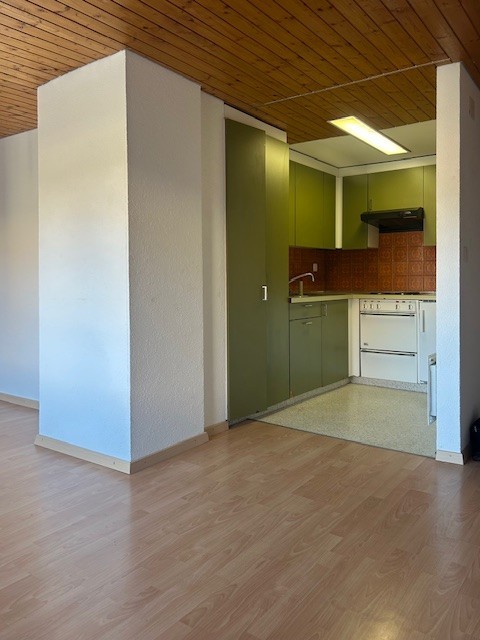 Appartement de 2 ½ pièces