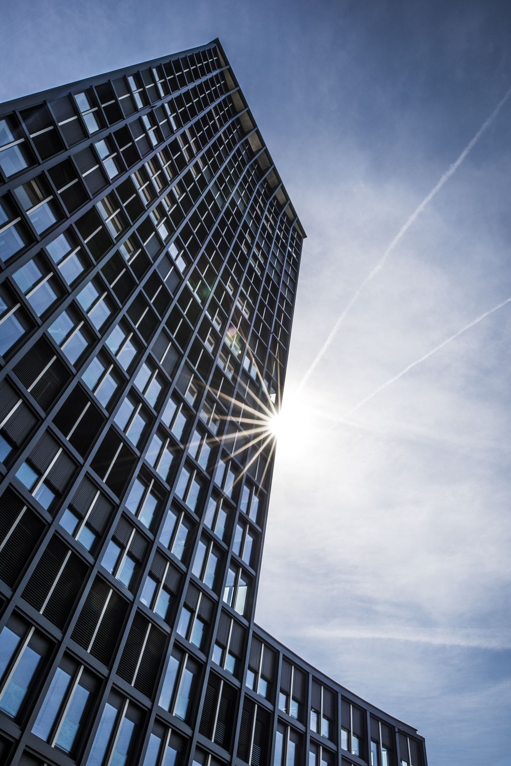 256m² de bureaux