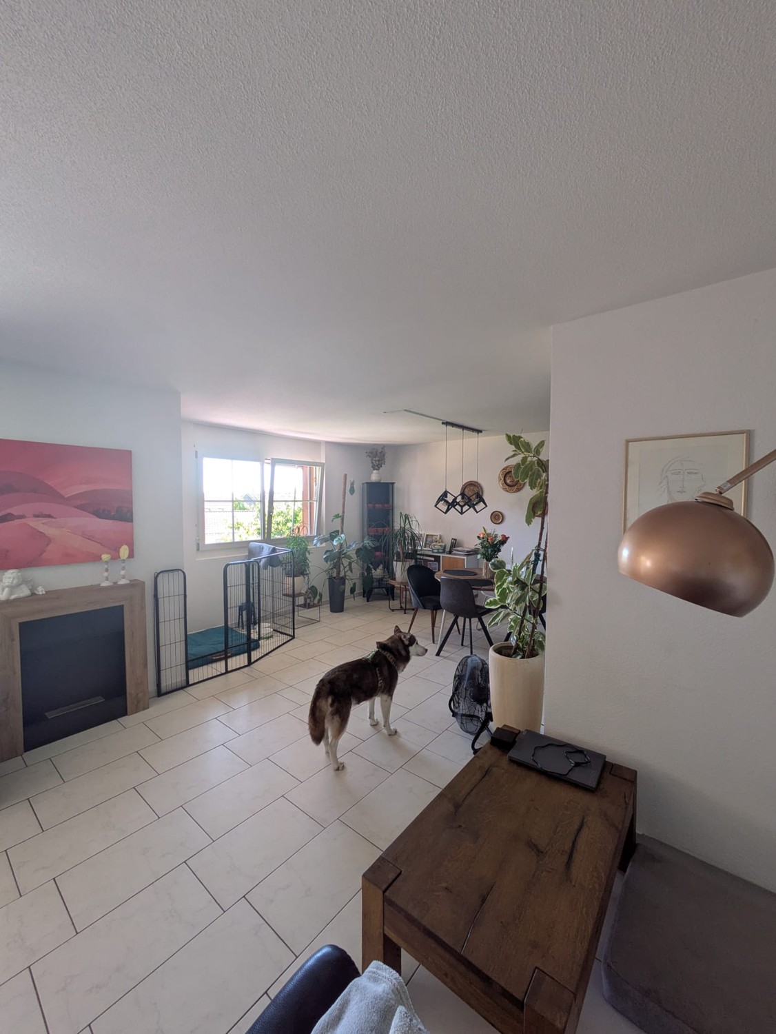 Appartement de 4 ½ pièces