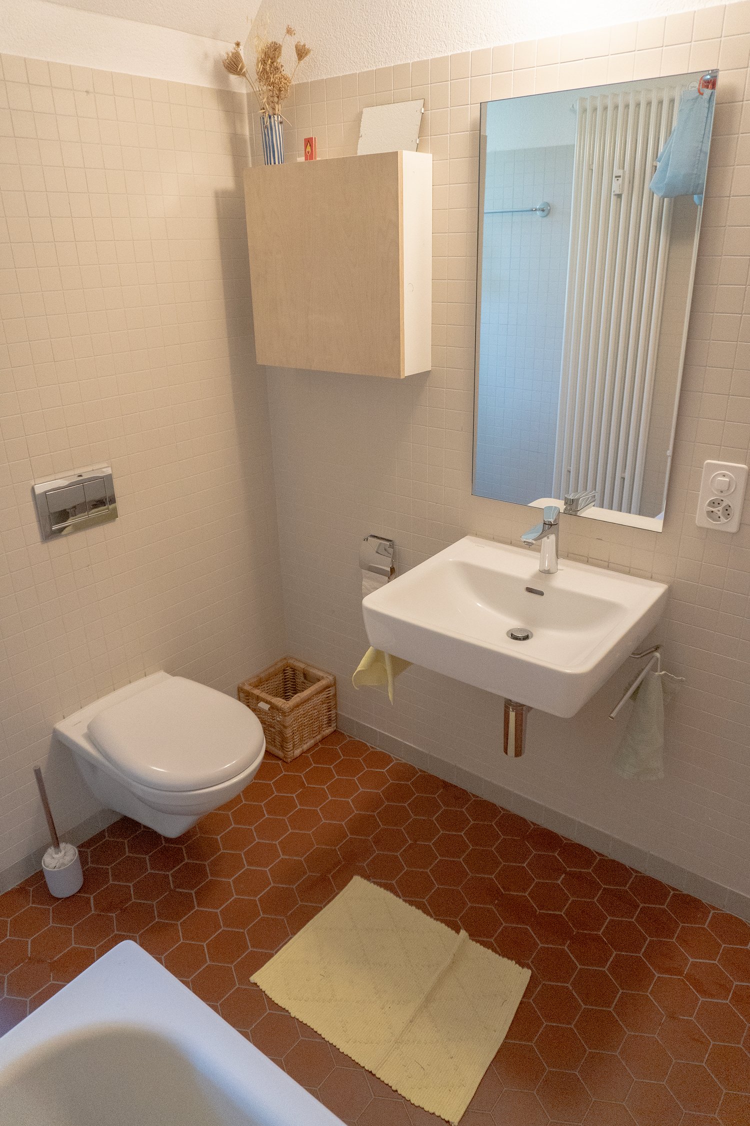 Room in a shared flat