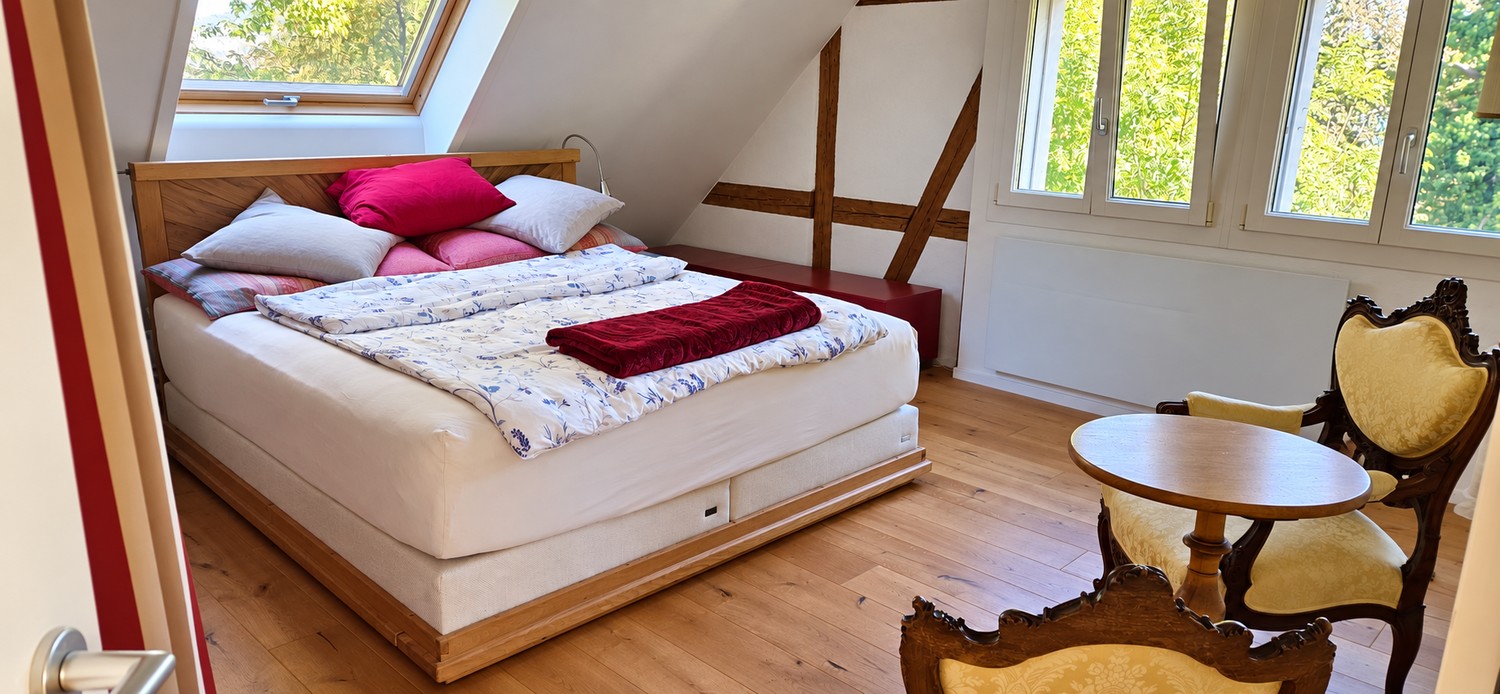 appartement de 2 ½ pièces
descriptif":"meublé, lit d'appoint sur la galerie", photo 5 sur 6