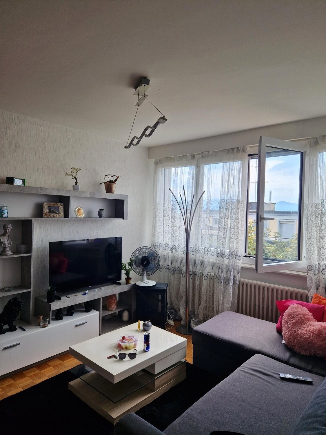 2 rooms apartment, photo 3 sur 3