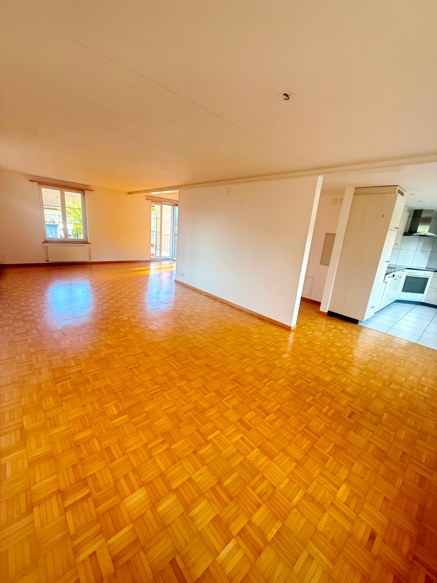 Duplex de 5 ½ pièces, photo 2 sur 10