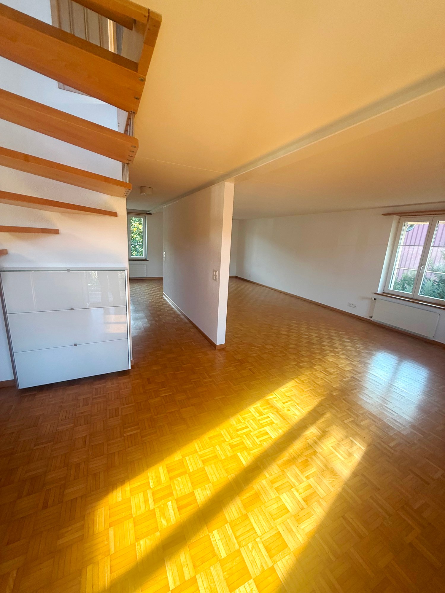 Duplex de 5 ½ pièces, photo 5 sur 10