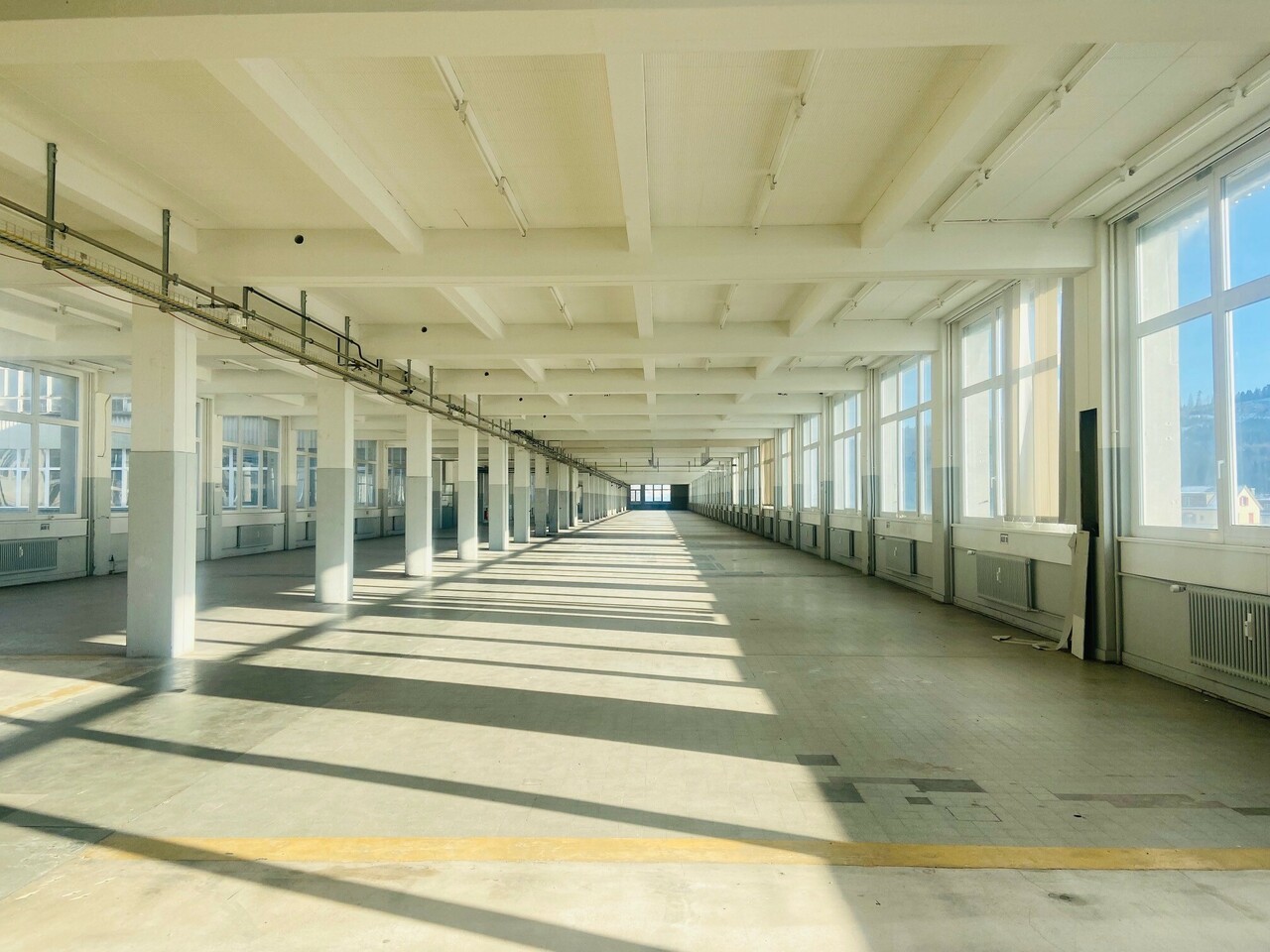 3596m² commercial