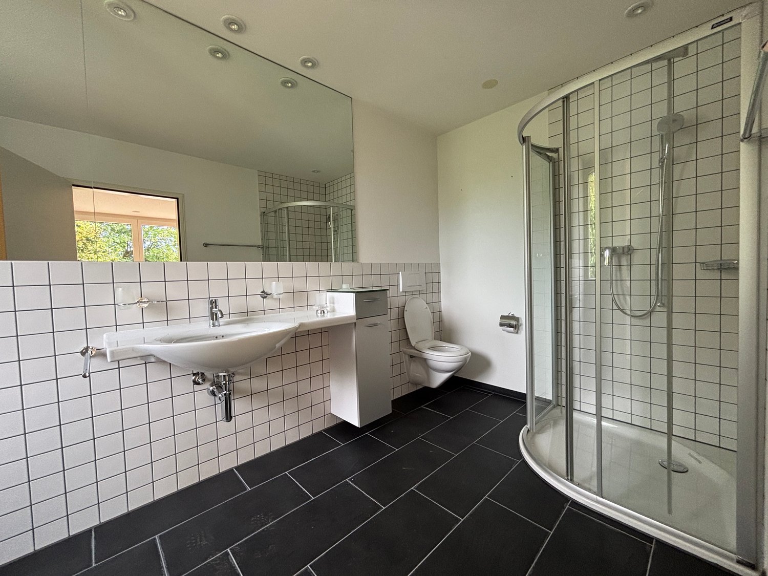4 ½ pièces appartement d'attique