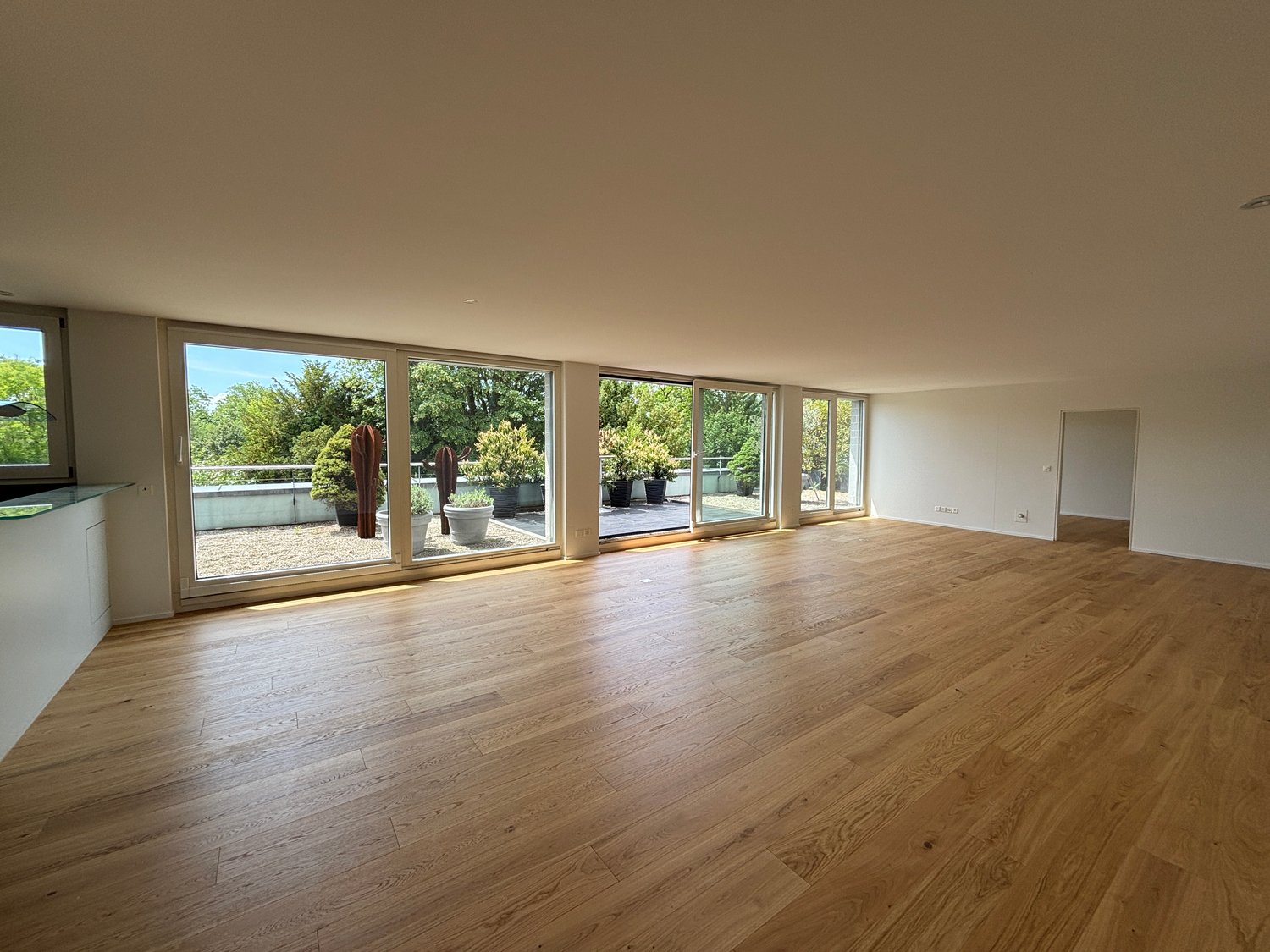 4 ½ pièces appartement d'attique