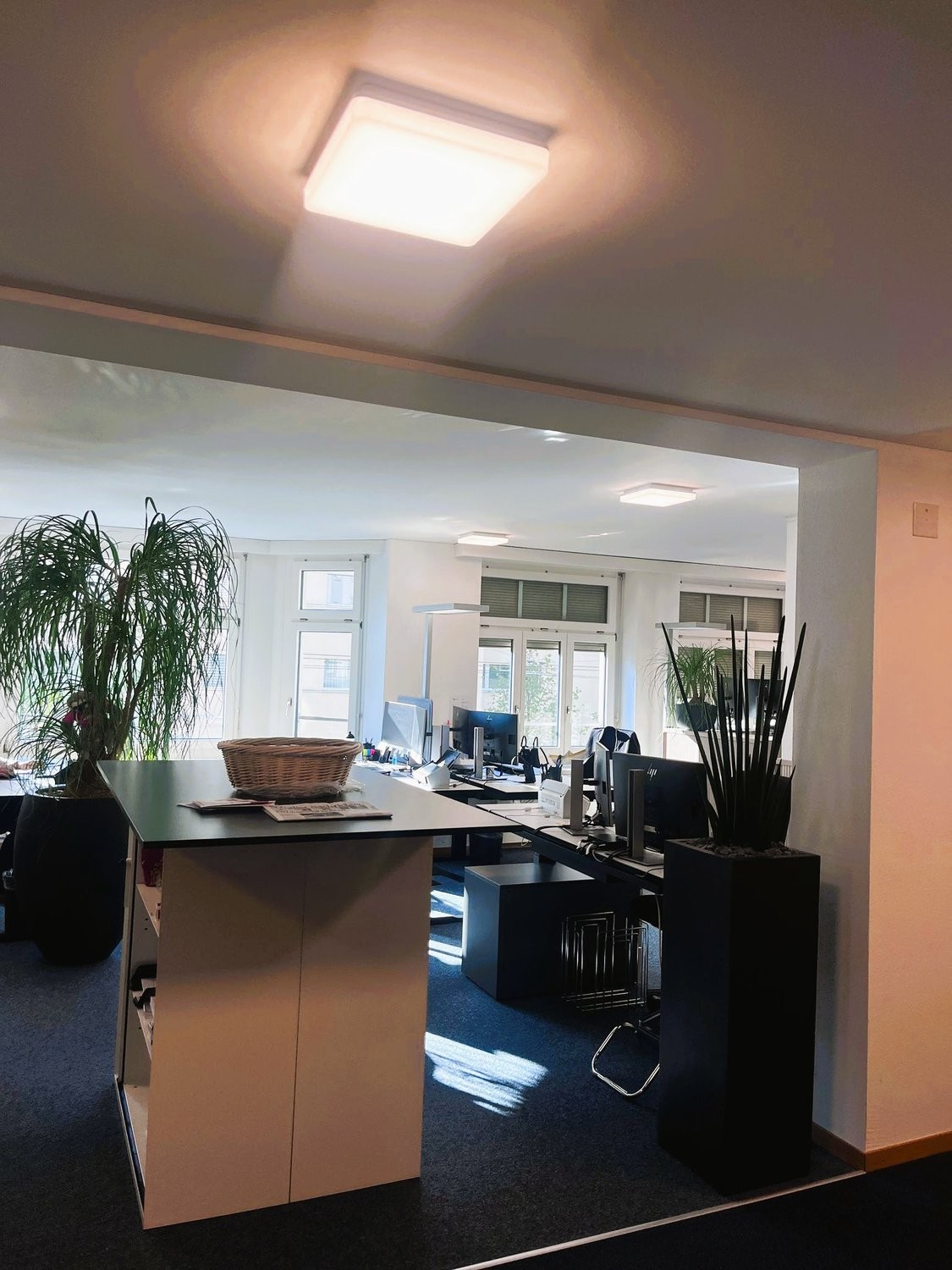 236m² bureau