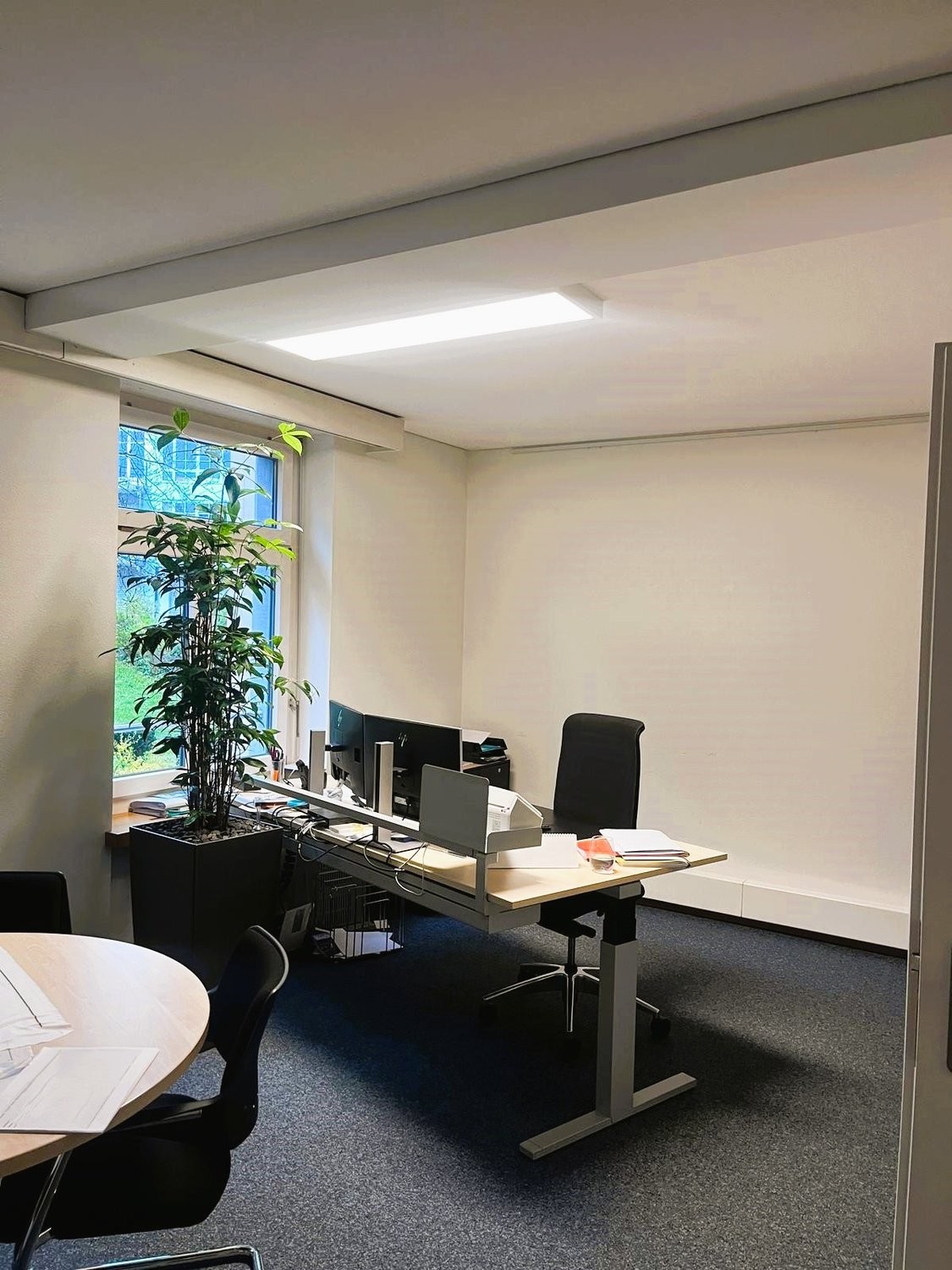 236m² bureau