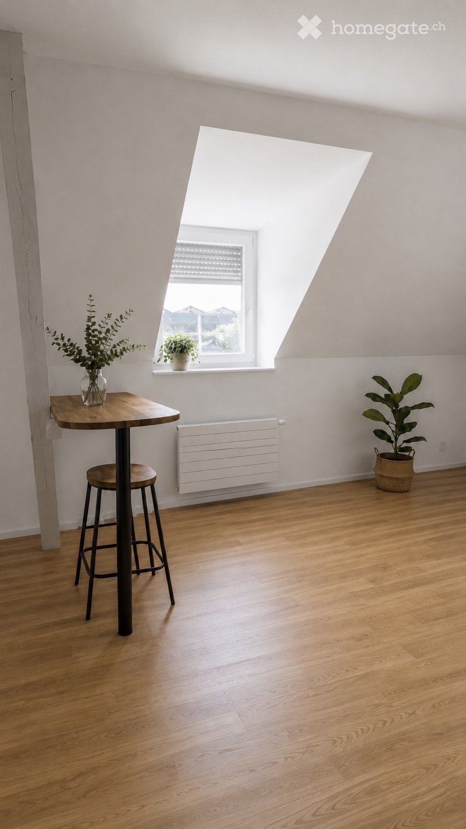 2 ½ rooms apartment, photo 3 sur 9