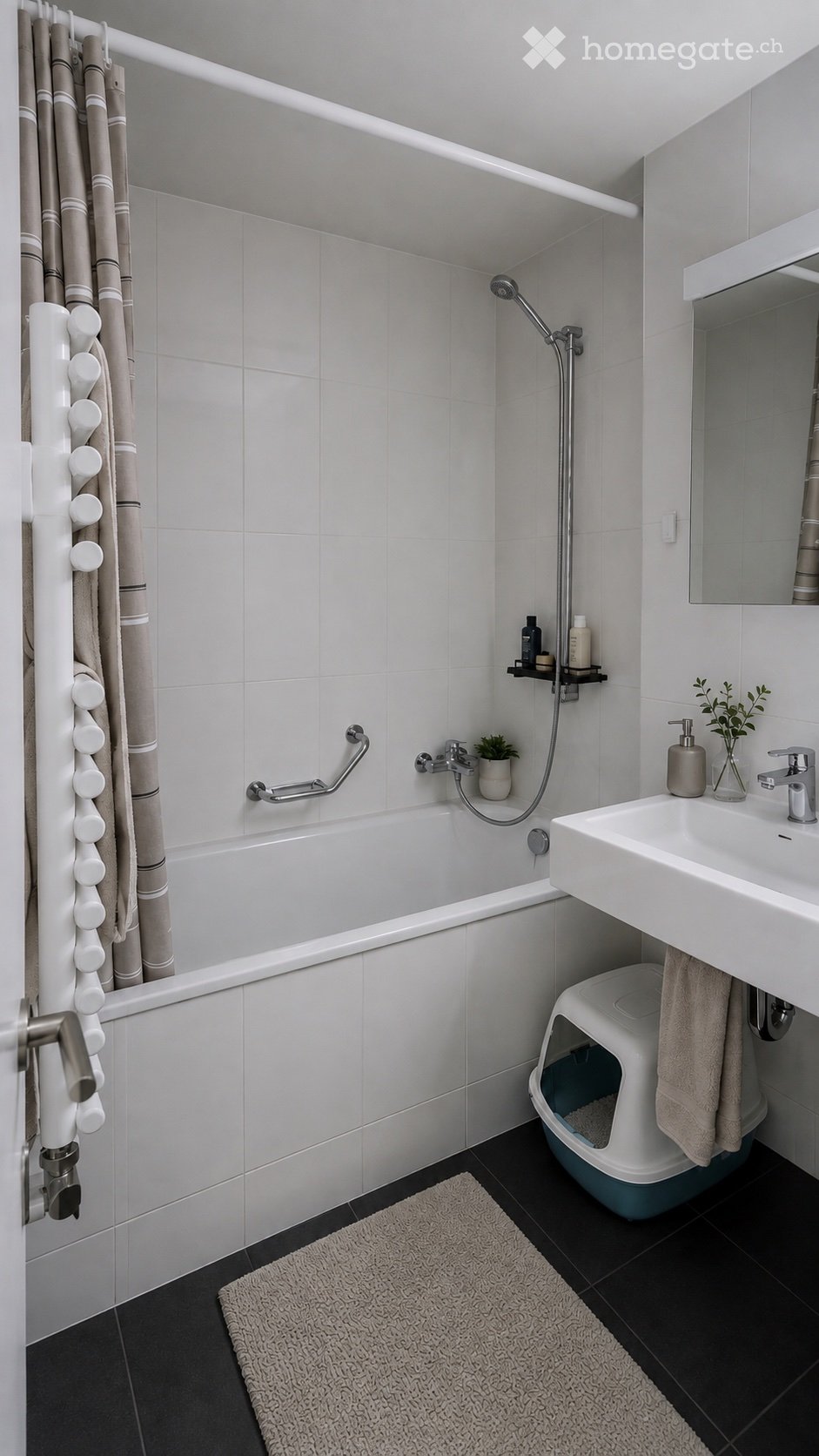 2 ½ rooms apartment, photo 8 sur 9
