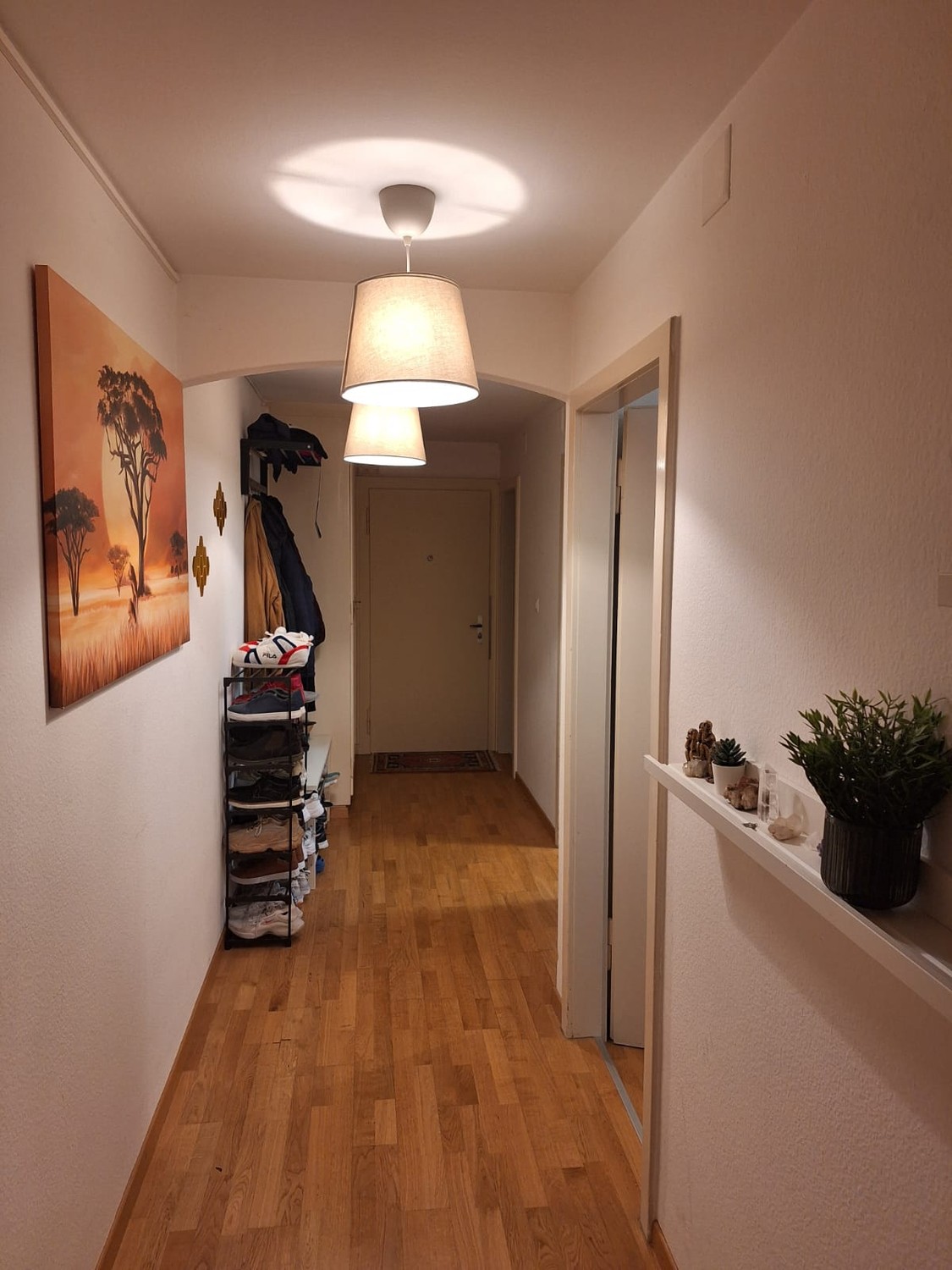 Chambre en colocation, photo 2 sur 8