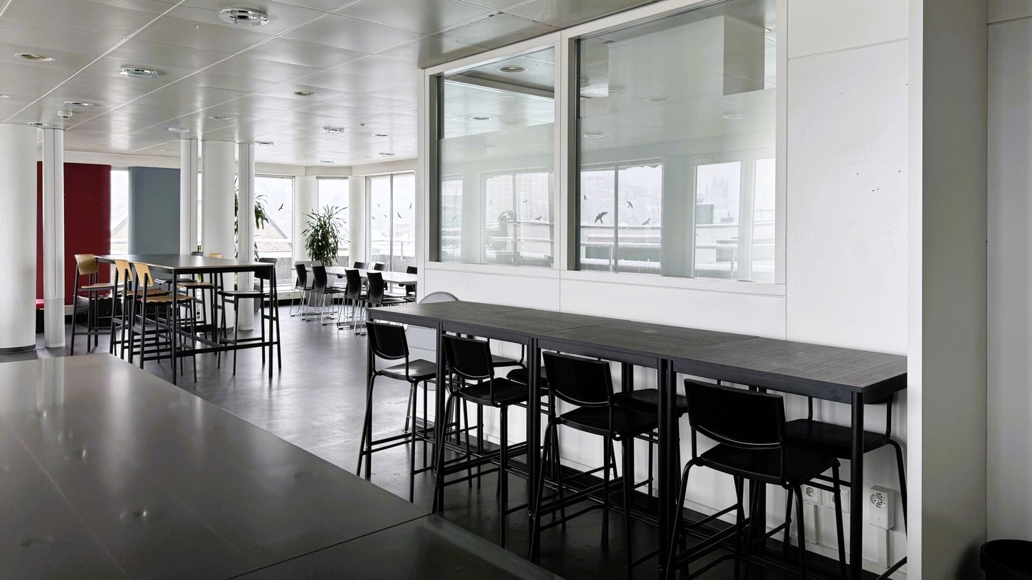 167m² bureau