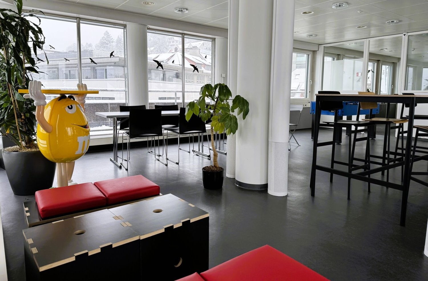 167m² bureau