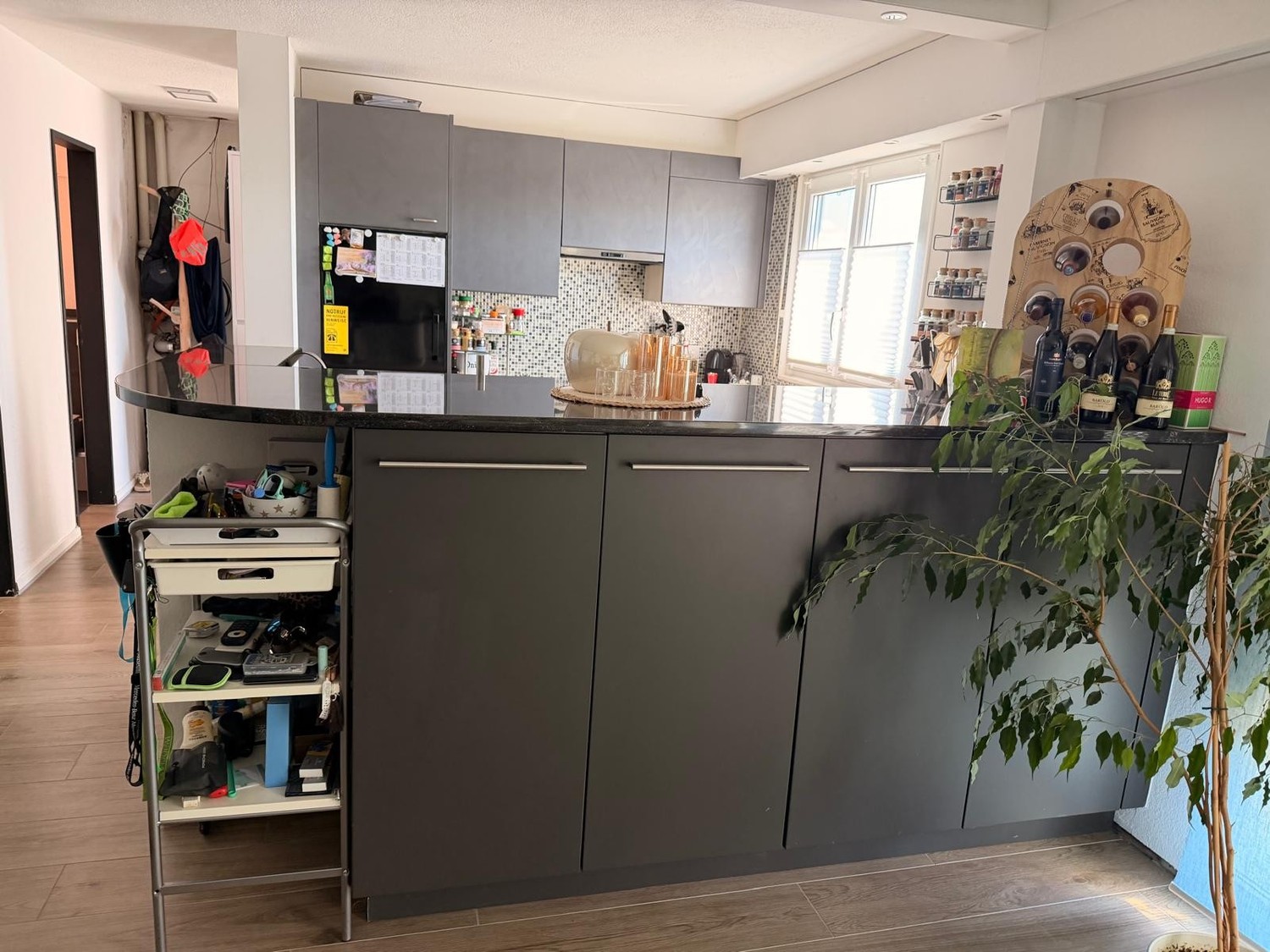 Maison individuelle de 5 ½ pièces, photo 3 sur 10